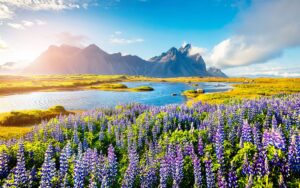 Iceland eSIM
